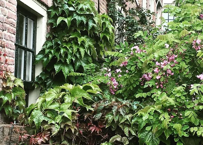 B&B Het Vogeltje